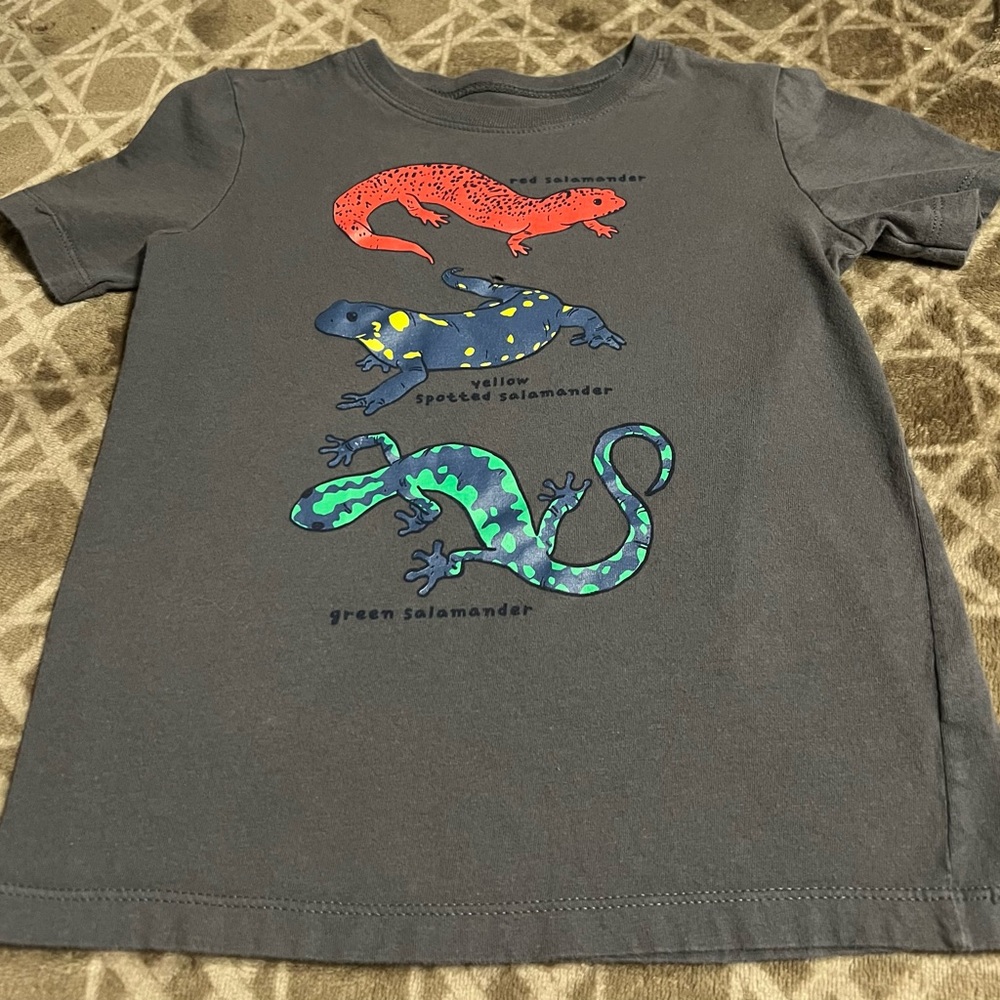 Carter’s Salamander Boys T-shirt, size 5t/5A - well-loved/cared for! 5 for $25